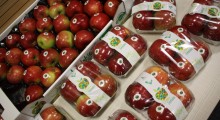 Lubelskie jabłka ruszają w Polskę