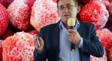 Ceny truskawki w 2019 wg. przetwórcy