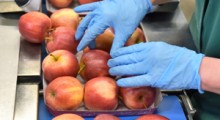 Eksport ukraińskich jabłek rośnie z miesiąca na miesiąc ! 