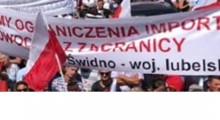 Czy powinniśmy żądać ograniczenia importu owoców