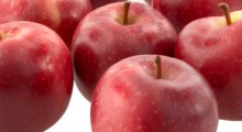 Nowa Zelandia chce olśnić świat nową odmianą jabłek