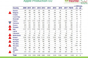 Produkcja jabłek UE