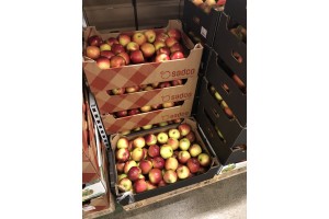  pozostałem jabłka i dostawcy w sieciach sklepów MAKRO