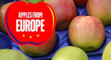 Poznaj jakość jabłek z Europy