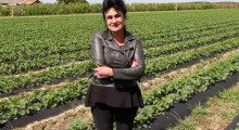 Komunikat jagodowy - 8.05.2019 - Barbara Błaszczyńska, Agrosimex