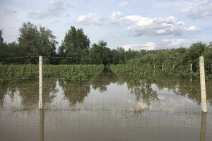  Sady pod wodą - gmina Tarłów
