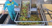 Ukraińska przetwórnia T.B.Fruit buduje nowe zakłady w Polsce