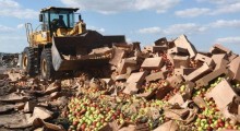 Rosja chce zaprzestać niszczenia żywności objętej embargiem