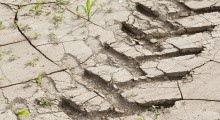 Gmina Warka: Wnioski o szacowanie strat po suszy 