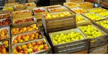WAPA: Ile jabłek w komorach ? – stan na lipiec 2019