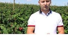 Komunikat jagodowy - 5.08.2019 - Tomasz Domański, Agrosimex