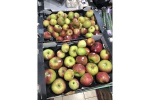  jabłka odmiany Lobo