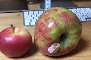  jabłko Gala - jabłko Lobo