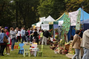  I Piknik Kół Gospodyń Wiejskich Powiatu Grójeckiego podczas Światowego Dnia Jabłka