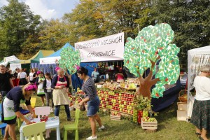  I Piknik Kół Gospodyń Wiejskich Powiatu Grójeckiego podczas Światowego Dnia Jabłka