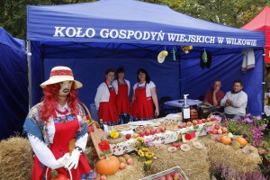  I Piknik Kół Gospodyń Wiejskich Powiatu Grójeckiego podczas Światowego Dnia Jabłka