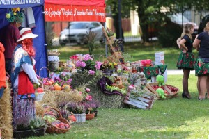  I Piknik Kół Gospodyń Wiejskich Powiatu Grójeckiego podczas Światowego Dnia Jabłka