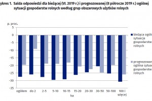 Wykres 1. Salda odpowiedzi dla bieżącej (VI. 2019 r.) i prognozowanej (II półrocze 2019 r.) ogólnej sytuacji gospodarstw rolnych według grup obszarowych użytków rolnych