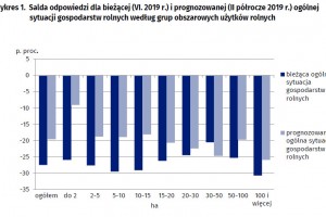  Wykres 1. Salda odpowiedzi dla bieżącej (VI. 2019 r.) i prognozowanej (II półrocze 2019 r.) ogólnej sytuacji gospodarstw rolnych według grup obszarowych użytków rolnych