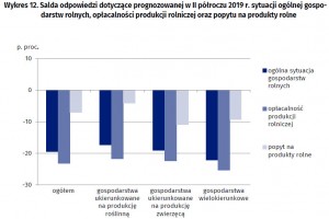  Prognoza sytuacji gospodarstw rolnych