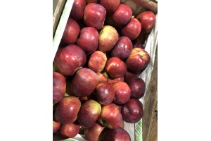  Jabłka różnych odmian w cenie od 20 zł (małe), a średnio 30-35(40) zł za klatkę. 