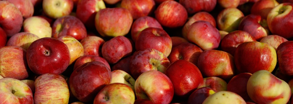 Ceny jabłek nawet o 80% wyższe?