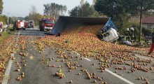 Zderzenie ciężarówki przewożącej jabłka z samochodem osobowym