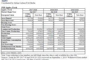  Produkcja, eksport, import, konsumpcja jabłek [od 2017/2018 do 2019/2020] 