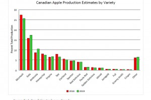  Produkcja jabłek w Kanadzie - odmiany [2018 - 2019]
