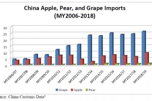  Import jabłek, gruszek i winogron od 2006 do 2018 roku