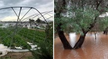 Włochy: Truskawki i gaje oliwne po wodą