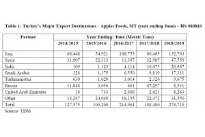  Eksport jabłek od 2014/2015 do 2018/2019