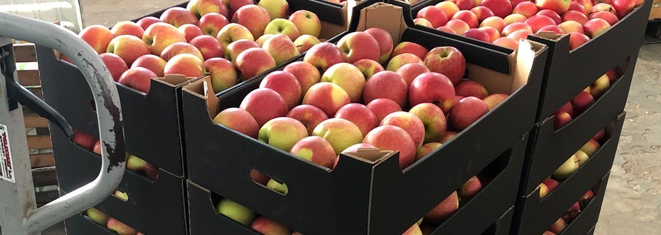 Analiza cen jabłek deserowych i przemysłowych październik r/r