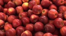 Zmiany klimatu zagrażają czerwonym jabłkom