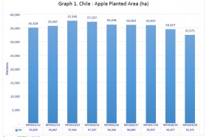  Powierzchnia sadów jabłoniowych (ha) od 2011/2012 do 2019/2020