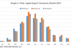  Wielkość eksportu jabłek według miesięcy od 2016/2017 do 2018/2019