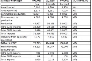  Produkcja, eksport, import, konsumpcja od 2017/2018 do 2019/2020