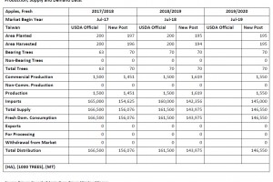  Produkcja, eksport, import, konsumpcja od 2017/2018 do 2019/2020