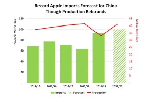  Produkcja jabłek w Chinach od 2014/2015 do 2019/2020