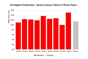  Produkcja jabłek w UE od 2010/2011 do 2019/2020