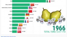 Produkcja gruszek na świecie od 1961 do 2017 roku