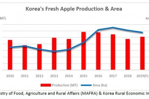  Produkcja jabłek od 2010 do 2019 roku