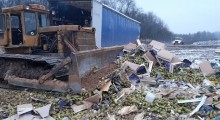 Rosja: Zniszczono prawie 20 ton holenderskich gruszek