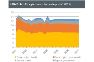  Konsumpcja i eksport jabłek w UE (1 000 t)