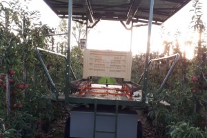  Solarna platforma sadownicza