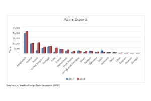  Eksport jabłek w latach 2017 i 2018 