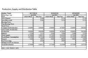  Produkcja, eksport, import, konsumpcja jabłek od 2017/2018 do 2019/2020 