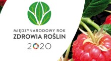 Zdrowie roślin w dobie zmian klimatu