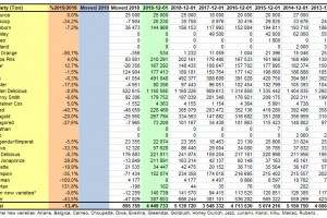  WAPA: Ilość poszczególnych odmian jabłek w chłodniach w krajach UE - grudzień 2019 r.