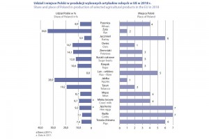  Udział i miejsce Polski w produkcji wybranych artykułów rolnych w UE w 2018 r.